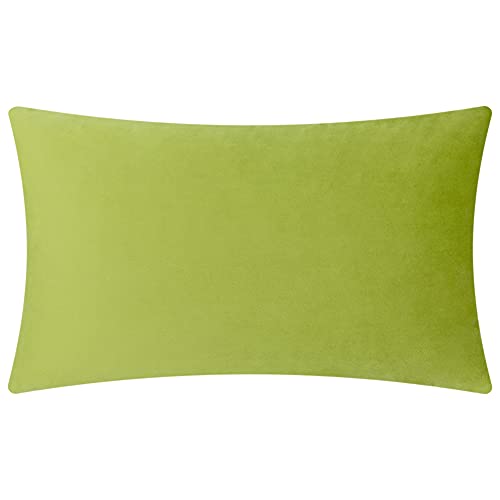 KINGROSE 3D Flower Throw Pillow Cover Floral Decorative Pillowcase Soft Cushion Cover for Bed Couch Sofa Living Room 12 x 20 Inches Velvet Green - color: Green - Velvet