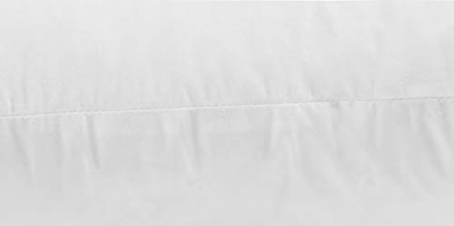 JA COMFORTS 12×20 Premium Goose Down Feather Throw Pillow Inserts(Set of 2)-5% Down Filling,High Filling Weight,250 TC Cotton Cover, Square, White - style: 12×20 (2 Pack)