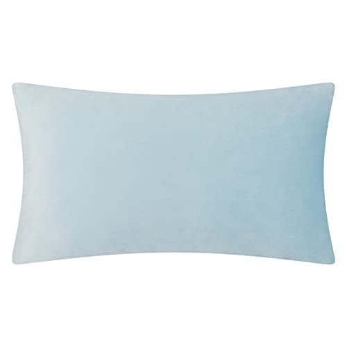KINGROSE Handmade 3D Floral Accent Throw Pillow Case Soft Pillow Cover Gorgeous Cushion Cover for Sofa Couch Bed Home Decor 12 x 20 Inches Velvet Light Blue - color: Light Blue - Velvet