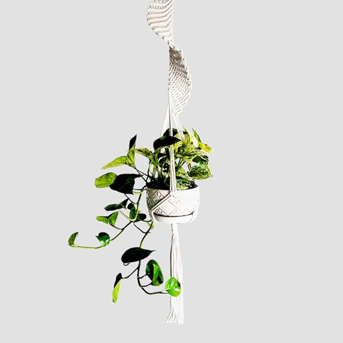 Modern Minimalist Bohemian Style Hanging Planters Plant Net Pocket Hand Woven Hanging Basket Holder Tapestry Flower Basket with Exquisite Tassel Indoor Balcony Decoration (Rotating) - size: Rotating
