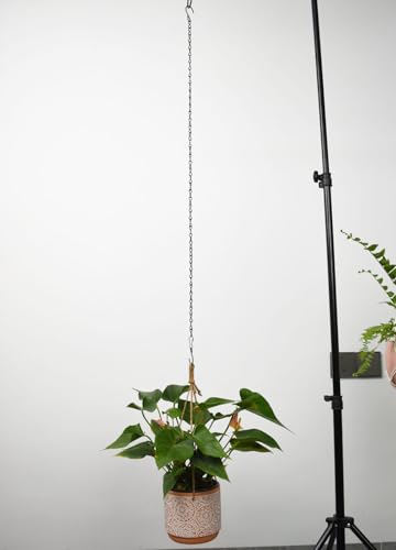 Chain for Hanging Plants,35 Inch Black Hanging Basket Chain Kits with Hooks for Bird Feeder Hanging Plant Extender Porch Wind Chime (Black, 35 Inch-2PCS) - color: Black, size: 35 Inch-2PCS