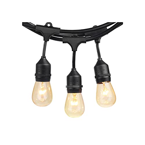 SUNTHIN Outdoor String Lights, 48FT Commercial Grade String Light with 15 11W Dimmable Edison Vintage Bulbs, Hanging for Outside, Patio, Garden, Backyard, Porch, Deck, Pergola, Party - color: Black, size: 48FT