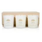 AvaConcept Healing Crystal Candle Gift Set – Set of 3 Celestite, Rose Quartz & Moonstone Hand-Poured Soy Wax Sea Salt Driftwood, Blackcurrant Rose & Amber Noir Aromatherapy Scents Premium Gift Box - size: 3.5oz, style: Sea Salt Driftwood, Blackcurrant Ros