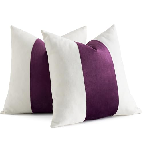 AmHoo Pack of 2 Velvet Panel Cotton Pillow Covers Decorative Pillowcase Cushion for Couch Sofa Bedroom 18 x 18-Inch Dark Purple - color: Dark Purple, size: 18" x 18" (Pack of 2)