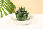 HOME SMILE Ceramic Aloe Ring Holder,Cactus Dish Dish for Jewelry,Christmas Birthday Gifts for Women