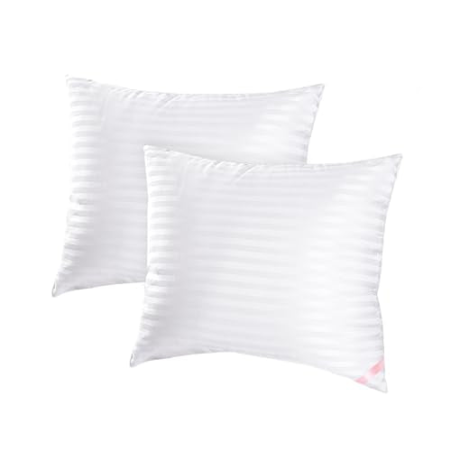 EIUE Throw Pillow Inserts, Machine Washable Pillows,Premium Polyester Fiber Fill for Sofa Bed & Decorative Cushions (White, 18x18inch) - size: 18x18inch