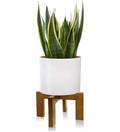 Wood Plant Stand, Mid Century Modern Planter Stand Rattan Flower Pot Stand, Low Short Plant Stands Indoor - Boho Rustic Wooden Stool for Plant Pot Holder, Fit 5-15 Inch Pot - color: 1 Brown