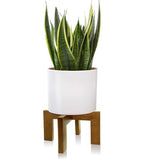 Wood Plant Stand, Mid Century Modern Planter Stand Rattan Flower Pot Stand, Low Short Plant Stands Indoor - Boho Rustic Wooden Stool for Plant Pot Holder, Fit 5-15 Inch Pot - color: 1 Brown
