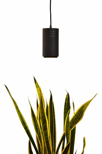 Aspect Soltech Gen 2 – World’s First Decor Grow Light | Black High-Output LED Pendant Grow Light for Indoor Plants | Warm White, Natural Light | Dimmable - color: Black