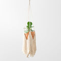 Modern Minimalist Bohemian Style Hanging Planters Plant Net Pocket Hand Woven Hanging Basket Holder Tapestry Flower Basket with Exquisite Tassel Indoor Balcony Decoration (Tassel) - size: Tassel