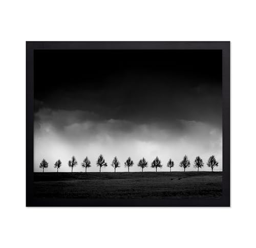 Monem Art Row of Silhouette Trees Print - Brighten Poster - Stormy Sky Art - Black & White Landscape Photography Wall Decor - Office or Bedroom Decor - 8x10 Unframed Wall Art by Adam Dauria - color: Style-11, size: 8"L x 10"W
