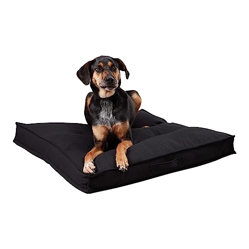South Pine Porch Mila Square Tufted Pillow Style Dog Bed, Black, Medium (32" x 32") - color: Black, size: Medium (32" x 32")