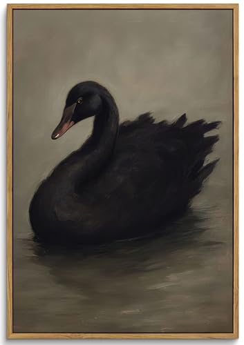 Framed Vintage Black Swan Canvas Wall Art Moody Animal Picture Dark Victorian Gothic Aesthetic Poster Print Rustic Farmhouse Antique Painting Wall Decor for Living Room Bedroom Kitchen 16x24in - color: Black Swan, size: 24"L x 16"W