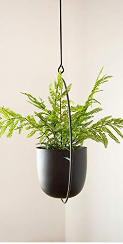 RISEON Boho Black Metal Plant Hanger,Metal Wall and Ceiling Hanging Planter, Modern Planter, Mid Century Flower Pot Plant Holder, Minimalist Planter for Indoor Outdoor Home Decor - color: Black, size: Round shape