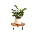 Wood Plant Stand, Wooden Round Plant Stand for Indoor Plants, Modern Plant Holder for Succulent Plant Nursery Pot Flower Pot Planter (Medium) - size: Medium