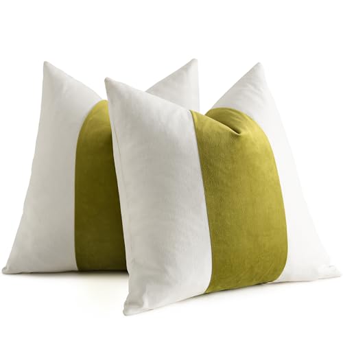 AmHoo Pack of 2 Velvet Panel Cotton Pillow Covers Decorative Pillowcase Cushion for Couch Sofa Bedroom 18 x 18-Inch Spinach Green - color: Spinach Green, size: 18" x 18" (Pack of 2)