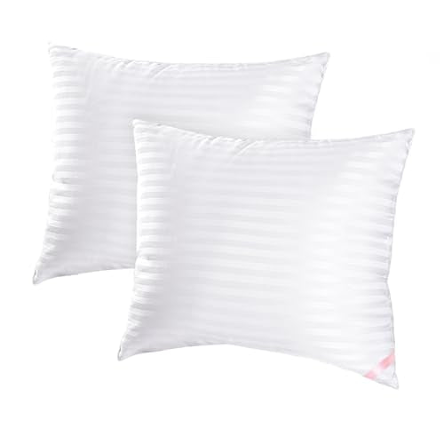 EIUE Throw Pillow Inserts, Machine Washable Pillows,Premium Polyester Fiber Fill for Sofa Bed & Decorative Cushions (White, 20x20inch) - size: 20x20inch