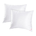 EIUE Throw Pillow Inserts, Machine Washable Pillows,Premium Polyester Fiber Fill for Sofa Bed & Decorative Cushions (White, 20x20inch) - size: 20x20inch