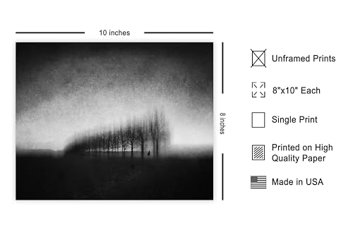 Monem Art Melancholic Trees Print - Neuenlohoff Poster - Minimal Aesthetic Art - Landscape Photography Wall Decor - Office or Living Room Decor - 8x10 Unframed Wall Art by Adam Dauria - color: Style-07, size: 8"L x 10"W