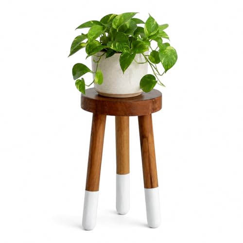 Teak 11.8" Round Dip Dyed Teak Stool | Wood Accent Side Table | Wood Plant Stand (20" Tall White) - color: 20" Tall White