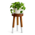 Teak 11.8" Round Dip Dyed Teak Stool | Wood Accent Side Table | Wood Plant Stand (20" Tall White) - color: 20" Tall White