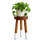 Teak 11.8" Round Dip Dyed Teak Stool | Wood Accent Side Table | Wood Plant Stand (20" Tall White) - color: 20" Tall White