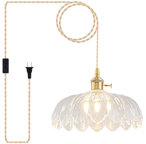 Pendant Light Fixture - color: Hibiscus Transparent
