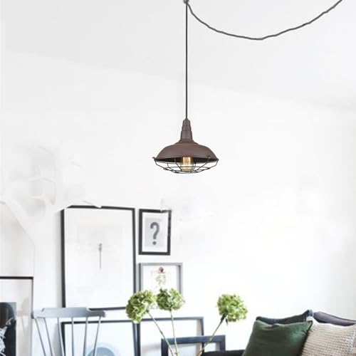 DAYCENT Industrial Plug-in Pendant Light Barn Style Hanging Lamp with Wire Caged Swag Light Fixture for Bedroom Hallway Kitchen Living Room, On/Off Switch - color: Plug-in