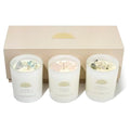 AvaConcept Healing Crystal Candle Gift Set – Set of 3 Celestite, Rose Quartz & Moonstone Hand-Poured Soy Wax Sea Salt Driftwood, Blackcurrant Rose & Amber Noir Aromatherapy Scents Premium Gift Box - size: 3.5oz, style: Sea Salt Driftwood, Blackcurrant Ros