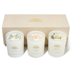 AvaConcept Healing Crystal Candle Gift Set – Set of 3 Celestite, Rose Quartz & Moonstone Hand-Poured Soy Wax Sea Salt Driftwood, Blackcurrant Rose & Amber Noir Aromatherapy Scents Premium Gift Box - size: 3.5oz, style: Sea Salt Driftwood, Blackcurrant Ros