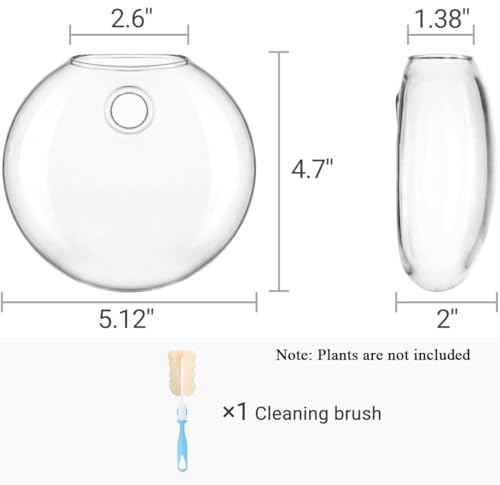 Mkono Wall Hanging Planter Propagation Station Glass Flower Vase for Hydroponics Plants, Bathroom, Home Office Living Room Decor Gift, Oblate Set of 4(Plants not Included)