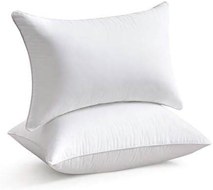 Leeden 14 x 22 Pillow Inserts (Set of 2) - Throw Pillow Inserts with 100% Cotton Cover - Rectangle Interior Sofa Pillow Inserts with Zipper for Sofa, Couch and Home Decor- White
