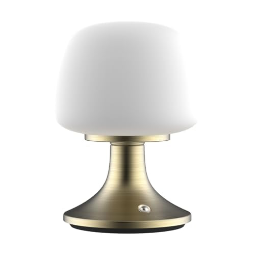 ‎Newhouse Lighting Verona, Brass 2700K Dimmable Cordless USB-C Rechargeable Glass Table Lamp NHTL-VE-BRS, Cordless Desk Lamp for Living Room, Bedroom, Coffee Table, and Other Cozy Home Decor - style: Verona Table Lamp