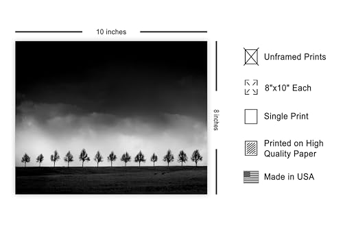 Monem Art Row of Silhouette Trees Print - Brighten Poster - Stormy Sky Art - Black & White Landscape Photography Wall Decor - Office or Bedroom Decor - 8x10 Unframed Wall Art by Adam Dauria - color: Style-11, size: 8"L x 10"W