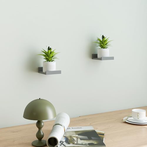 Small Floating Shelves for Wall Decor, Wall Mounted Wood Shelf for Bedroom, Living Room, Bathroom, Kitchen, Nursery, Mini Display Ledge Shelf with Lip Set of 2-4 Inches, Grey - color: Grey, size: 3.9in