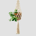 Modern Minimalist Bohemian Style Hanging Planters Plant Net Pocket Hand Woven Hanging Basket Holder Tapestry Flower Basket with Exquisite Tassel Indoor Balcony Decoration (Net) - size: Net