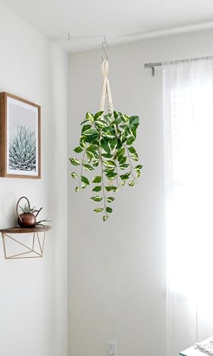 Briful Macrame Hanging Plant with Fake Pothos in White Pot, White N' Joy Faux Hanging Decor for Home Ceiling, Farmhouse Kitchen - color: White Leaf