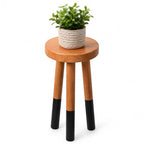 Rubber Wood 9" Round Plant Stand |Dip Dyed Black Accent Stool |Small Drinking Table |Side Table(18" H) - color: 18" Tall Black