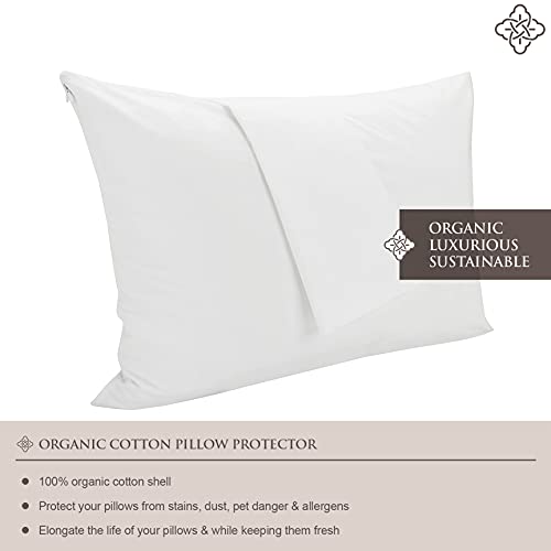 BIOWEAVES 100% Organic Cotton Breathable Pillow Protectors GOTS Certified with Zipped Closure – King, 20” x 36”, 2-Pack - size: King - 20" x 36"