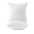 MIULEE Pack of 2 20x20 Outdoor Pillow Inserts, Waterproof Decorative Square Throw Pillow Inserts for Patio Sofa Garden Porch Couch - size: 20x20 Inch
