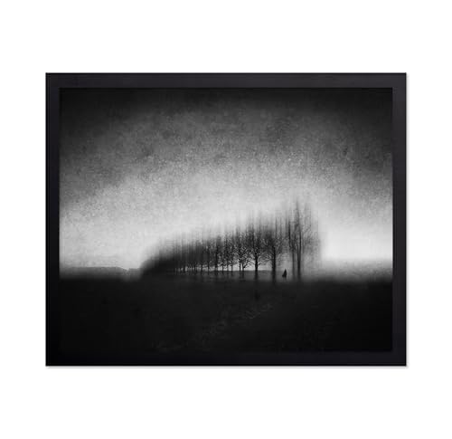 Monem Art Melancholic Trees Print - Neuenlohoff Poster - Minimal Aesthetic Art - Landscape Photography Wall Decor - Office or Living Room Decor - 8x10 Unframed Wall Art by Adam Dauria - color: Style-07, size: 8"L x 10"W