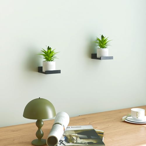 Small Black Floating Shelves for Wall Decor, Wall Mounted Wood Shelf for Bedroom, Living Room, Bathroom, Kitchen, Nursery, Mini Display Ledge Shelf with Lip Set of 2-4 Inches, Black - color: Black, size: 3.9in