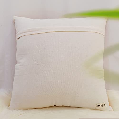 Trade Star Beautiful Sabra Pillow Cover Throw Pillow Cover Farmhouse Cushion Case 100% Cotton Cushion Cover Handwoven Luxurious Breathable Pillow Cover for Gifting Purpose - color: Pattern 15