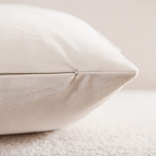 DEZENE Throw Pillow Covers 16x16 Cream: Pack of 2 Cozy Soft Velvet Square Modern Luxury Decorative Throw Pillow Cases for Sofa Couch Living Room Bed Home Decor - color: Vanilla Ice, size: 16" x 16" (Pack of 2)