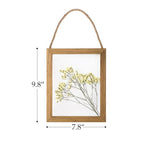NIKKY HOME Dried Flowers Grass Wall Art Set of 2 Natural Plant Artwork with Clear Glass Display Frame and Jute Rope Gallery Wall Decor Living Room Decor