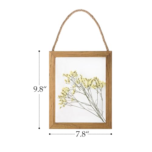 NIKKY HOME Dried Flowers Grass Wall Art Set of 2 Natural Plant Artwork with Clear Glass Display Frame and Jute Rope Gallery Wall Decor Living Room Decor
