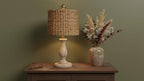 Aspen Creative 31605, Drum Spider Lamp Shade, Water Hyacinth, 12" Top x 12" Bottom x 9" Height - color: Water Hyacinth
