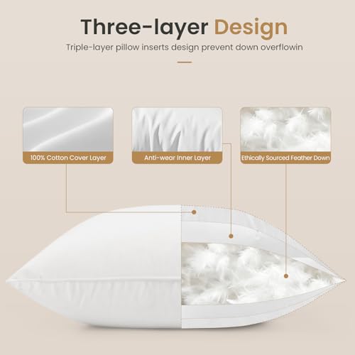 BHZ Euro Throw Pillow Inserts, 26x26 Down Feather Alternative Pillow Inserts Set of 2, Decorative Soft Large Square White Throw Pillows Insert for Couch Bed Dorm Sofa with Breathable Cover - color: White, size: 26x26 inch (Pack of 2)