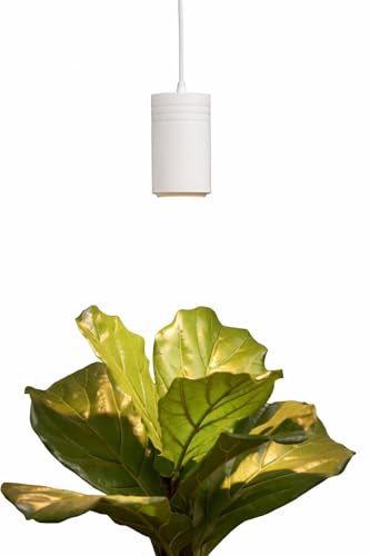 Aspect Soltech Gen 2 – World’s First Decor Grow Light | White High-Output LED Pendant Grow Light for Indoor Plants | Warm White, Natural Light | Dimmable - color: White