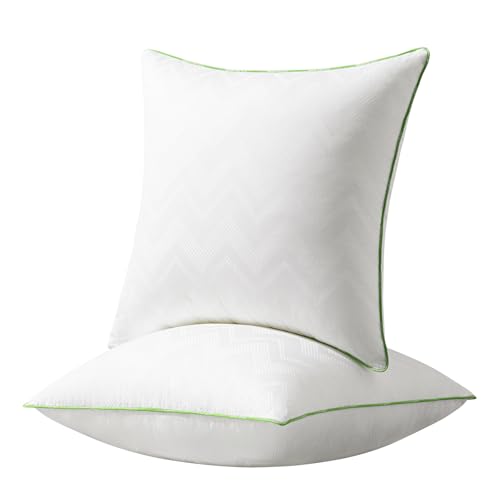 Ashler 28x28 Pillows Insert (Set of 2) - Throw Pillow Inserts with 100% Cotton Cover - 28 Inch Square Interior Sofa Stuffer Pillow Inserts -Decorative White Couch Pillow - size: 28x28 Inch